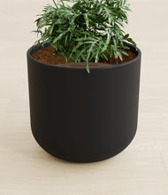 Load image into Gallery viewer, Stone Black stand:all