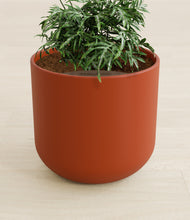 Load image into Gallery viewer, Earth Red stand:all