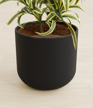 Load image into Gallery viewer, Stone Black stand:all