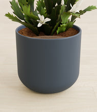 Load image into Gallery viewer, Iron Gray stand:all