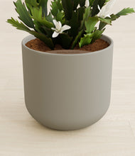 Load image into Gallery viewer, Sage Green stand:all