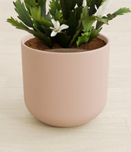 Load image into Gallery viewer, Sandy Pink stand:all