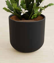 Load image into Gallery viewer, Stone Black stand:all