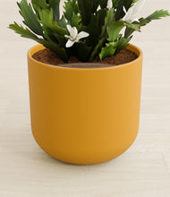 Load image into Gallery viewer, Sunset Orange stand:all