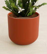 Load image into Gallery viewer, Earth Red stand:all