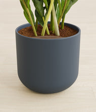 Load image into Gallery viewer, Iron Gray stand:all