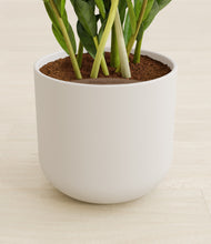 Load image into Gallery viewer, Natural Bamboo stand:all