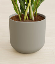 Load image into Gallery viewer, Sage Green stand:all