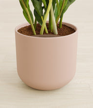 Load image into Gallery viewer, Sandy Pink stand:all