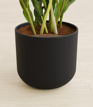 Load image into Gallery viewer, Stone Black stand:all