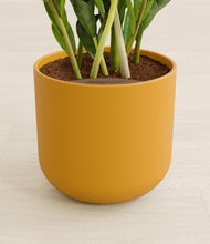 Load image into Gallery viewer, Sunset Orange stand:all