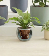 Load image into Gallery viewer, Earthy stand:all