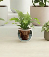 Load image into Gallery viewer, Woodland stand:all