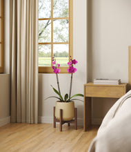 Load image into Gallery viewer, -