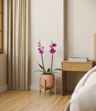 Load image into Gallery viewer, Calm Rose stand:bamboo