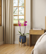 Load image into Gallery viewer, -