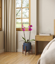 Load image into Gallery viewer, -