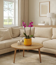 Load image into Gallery viewer, Mustard