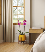 Load image into Gallery viewer, -