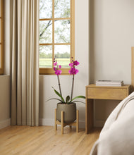 Load image into Gallery viewer, -