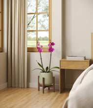 Load image into Gallery viewer, -