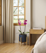 Load image into Gallery viewer, -