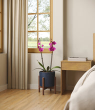 Load image into Gallery viewer, -