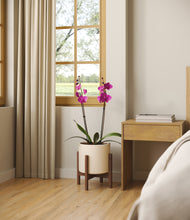 Load image into Gallery viewer, -