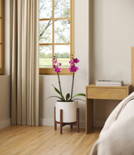 Load image into Gallery viewer, -