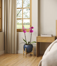 Load image into Gallery viewer, -