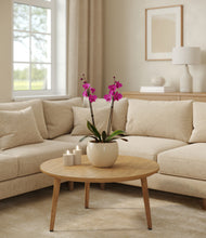 Load image into Gallery viewer, Cream