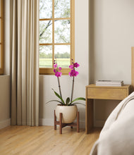 Load image into Gallery viewer, -