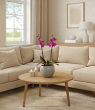 Load image into Gallery viewer, Deep Ocean