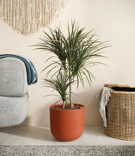 Load image into Gallery viewer, Earth Red