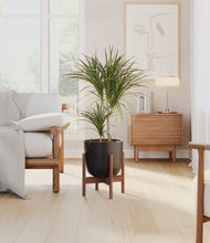 Load image into Gallery viewer, Stone Black stand:walnut