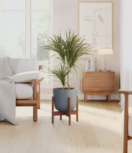 Load image into Gallery viewer, Iron Gray stand:walnut