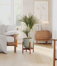 Load image into Gallery viewer, Sage Green stand:walnut