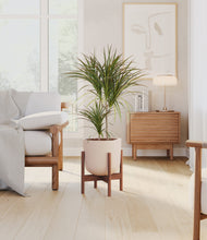 Load image into Gallery viewer, Sandy Pink stand:walnut