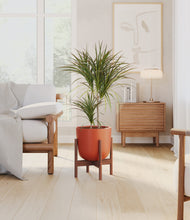 Load image into Gallery viewer, Earth Red stand:walnut