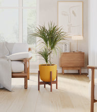 Load image into Gallery viewer, Sunset Orange stand:walnut