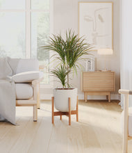 Load image into Gallery viewer, Natural Bamboo stand:bamboo