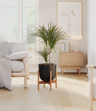 Load image into Gallery viewer, Stone Black stand:bamboo