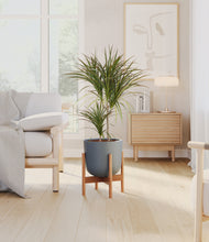 Load image into Gallery viewer, Iron Gray stand:bamboo