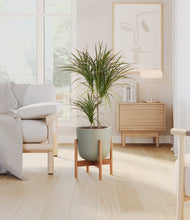Load image into Gallery viewer, Sage Green stand:bamboo