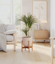 Load image into Gallery viewer, Sandy Pink stand:bamboo