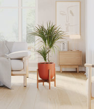 Load image into Gallery viewer, Earth Red stand:bamboo