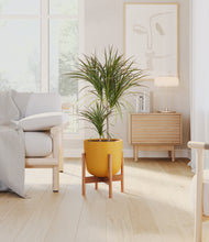 Load image into Gallery viewer, Sunset Orange stand:bamboo