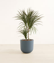 Load image into Gallery viewer, Iron Gray*****Profile