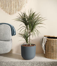 Load image into Gallery viewer, Iron Gray