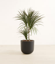 Load image into Gallery viewer, Stone Black*****Profile